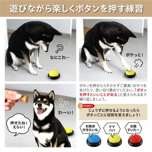 ペットと会話ボタン