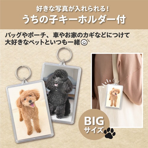 ペットと会話ボタン