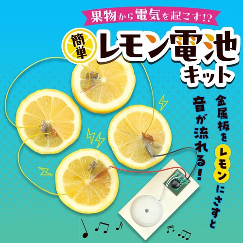 簡単!レモン電池キット