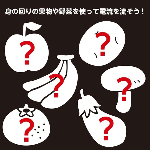 簡単!レモン電池キット