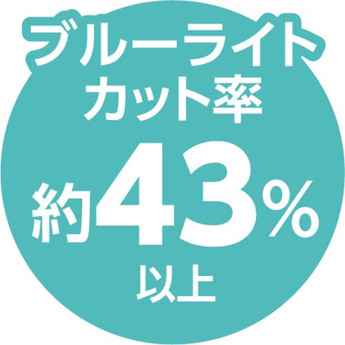 ブルーライトカット液晶保護フィルム 10.1型ワイ