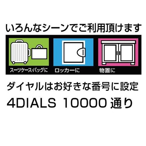 N−1262 パドロックRK4DIALS