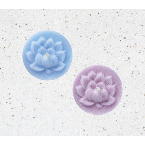 ペガサス #07181602 花暦 蓮