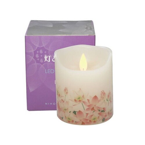 #08806403 灯ととなり 蓮