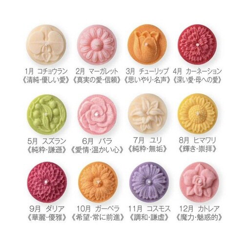花暦 12個DX 洋花 香