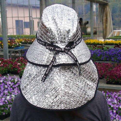 ベーシック涼かちゃん