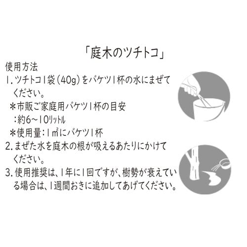 庭木のツチトコ