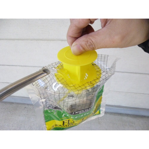 ハエ取りトラップ