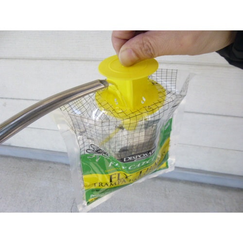 ハエ取りトラップ