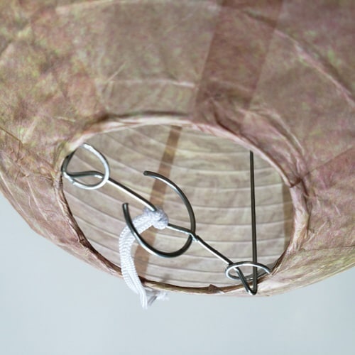 ダミーハチの巣 1P