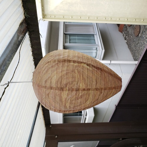 ダミーハチの巣 1P