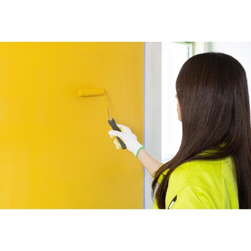 ほたて練り漆喰ムース