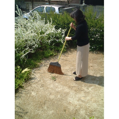 でかシダホーキ