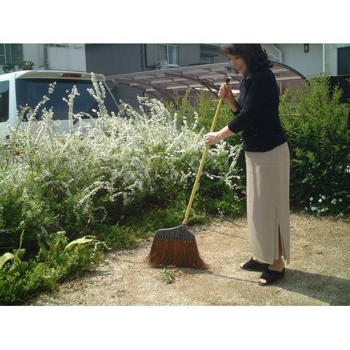 でかシダホーキ