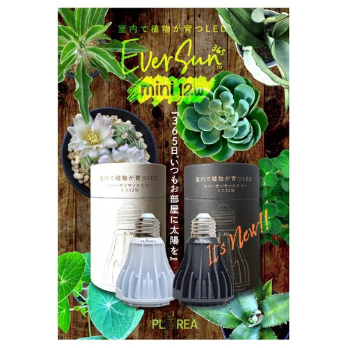 Ever Sun 365 mini