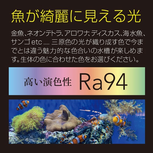 Free Color Hyper LED