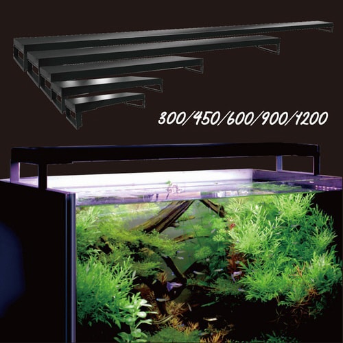 Free Color Hyper LED