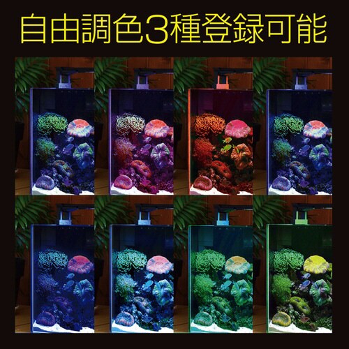 ZENSUI マルチカラー