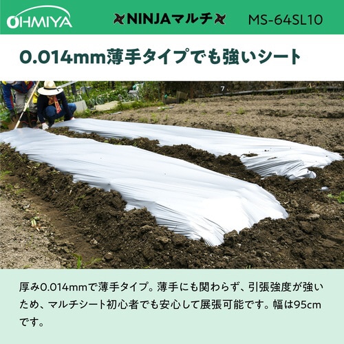 NINJAマルチシルバー10m