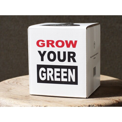 プランツネクスライト