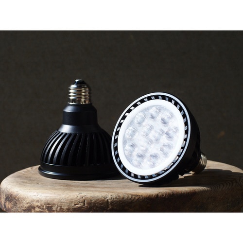 プランツネクスライト