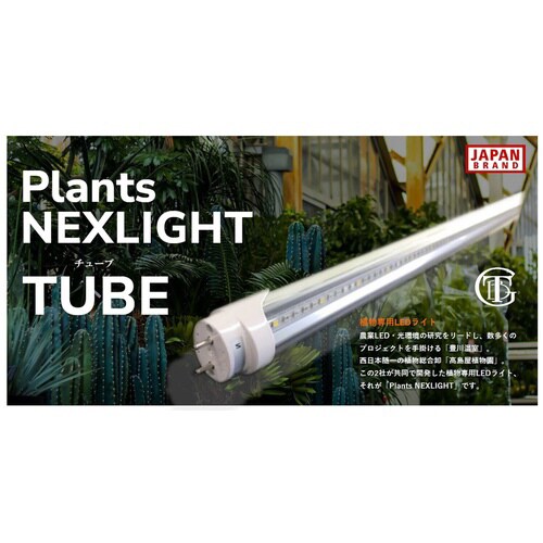 プランツネクスライト