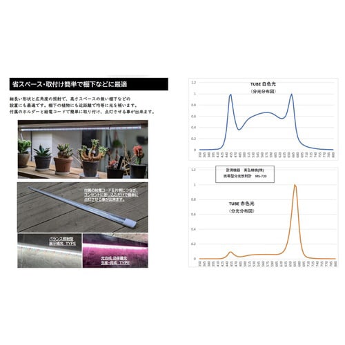 プランツネクスライト