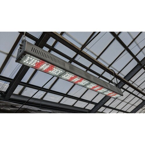 プランツネクスライト