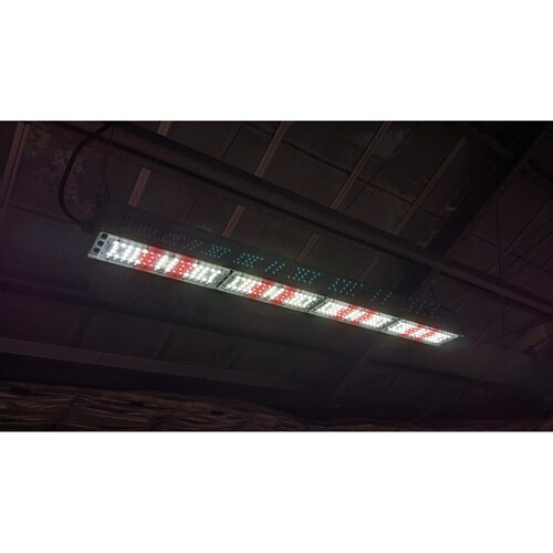 プランツネクスライト