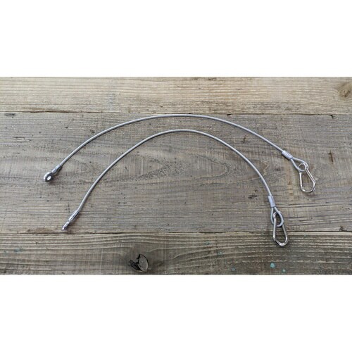 プランツネクスライト