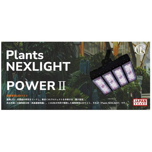 プランツネクスライト