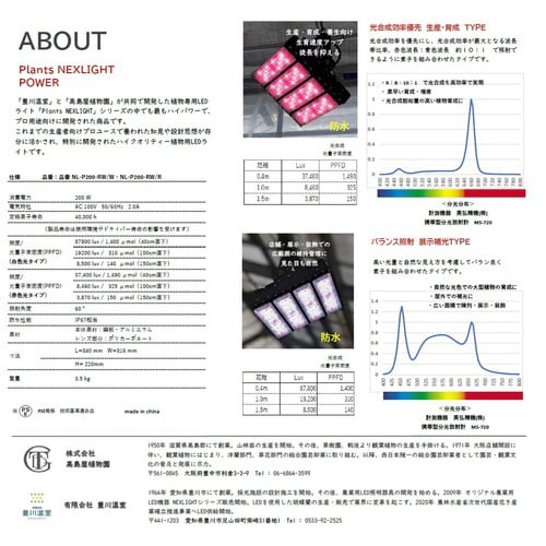 プランツネクスライト