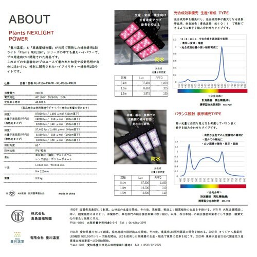 プランツネクスライト