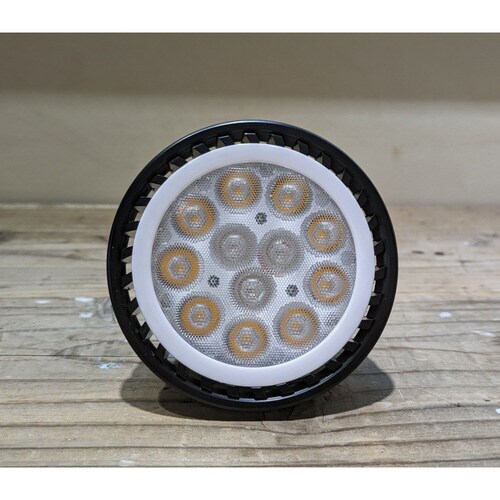 プランツネクスライト