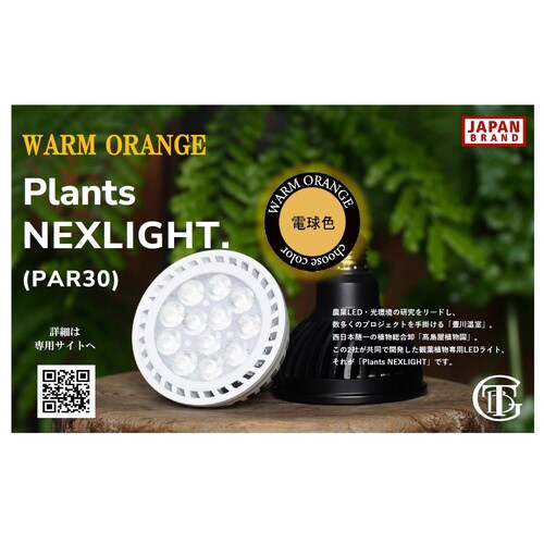 プランツネクスライト