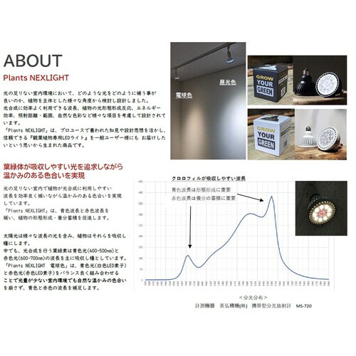 プランツネクスライト