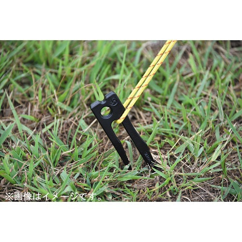 ドラゴンステーク