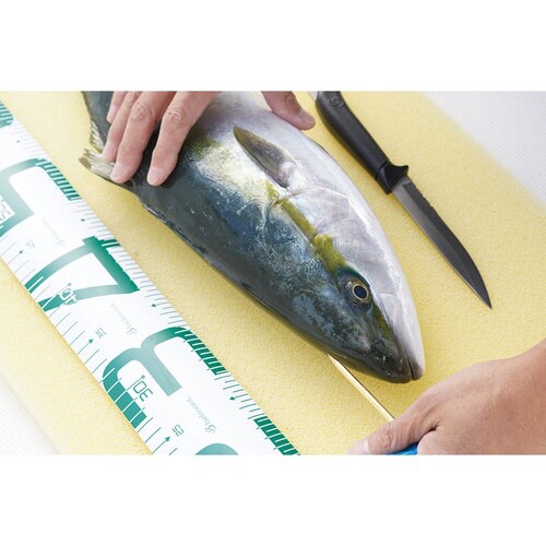 活け締めマット