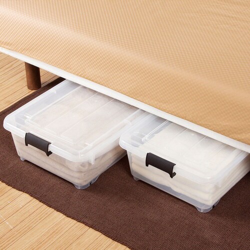 コロモ 74浅 クリア