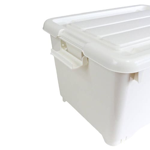 コロモ 50深 アイボリー