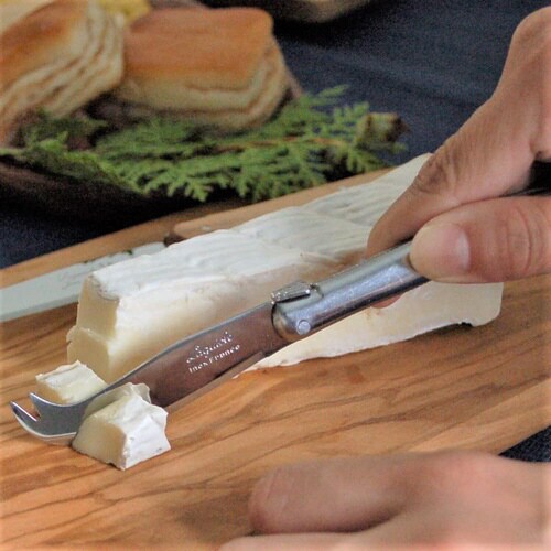 ステンレスハンドル ミニチーズナイフ 白箱