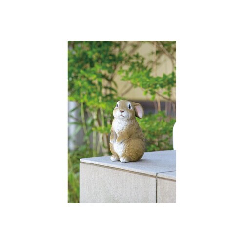 ミニうさぎ