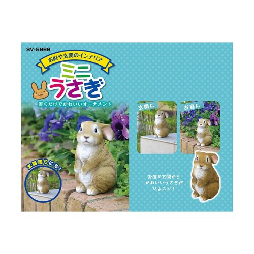 ミニうさぎ