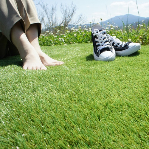 ターフグランデプレミアム