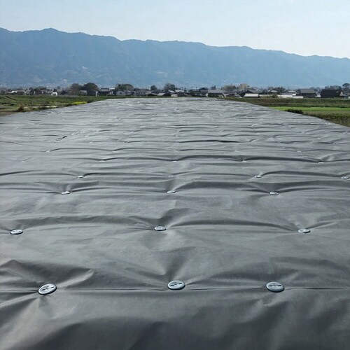 Green Arts 550JP グリーン