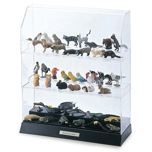 コレクションケース