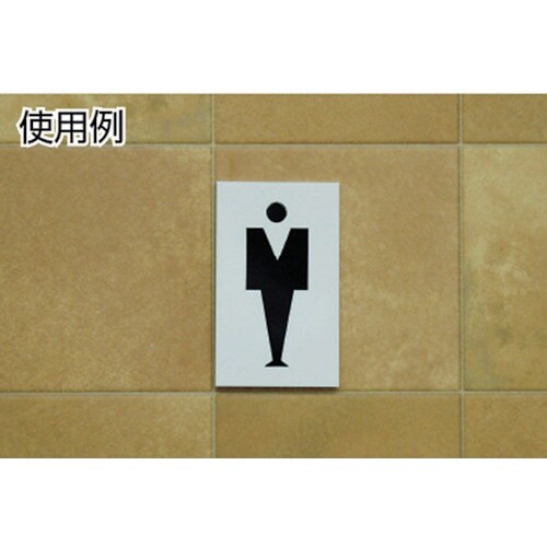 光 プレート 男マーク