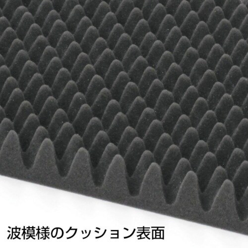 JEJアステージ ACCS プロテクトクッション