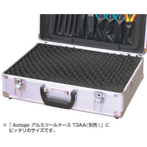 JEJアステージ ACCS プロテクトクッション