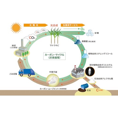 ミドリ安全 プランテックスグローブ スムス ゴム入